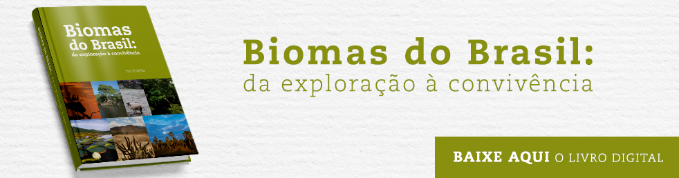 Livro – Biomas do Brasil: da exploração à convivência
