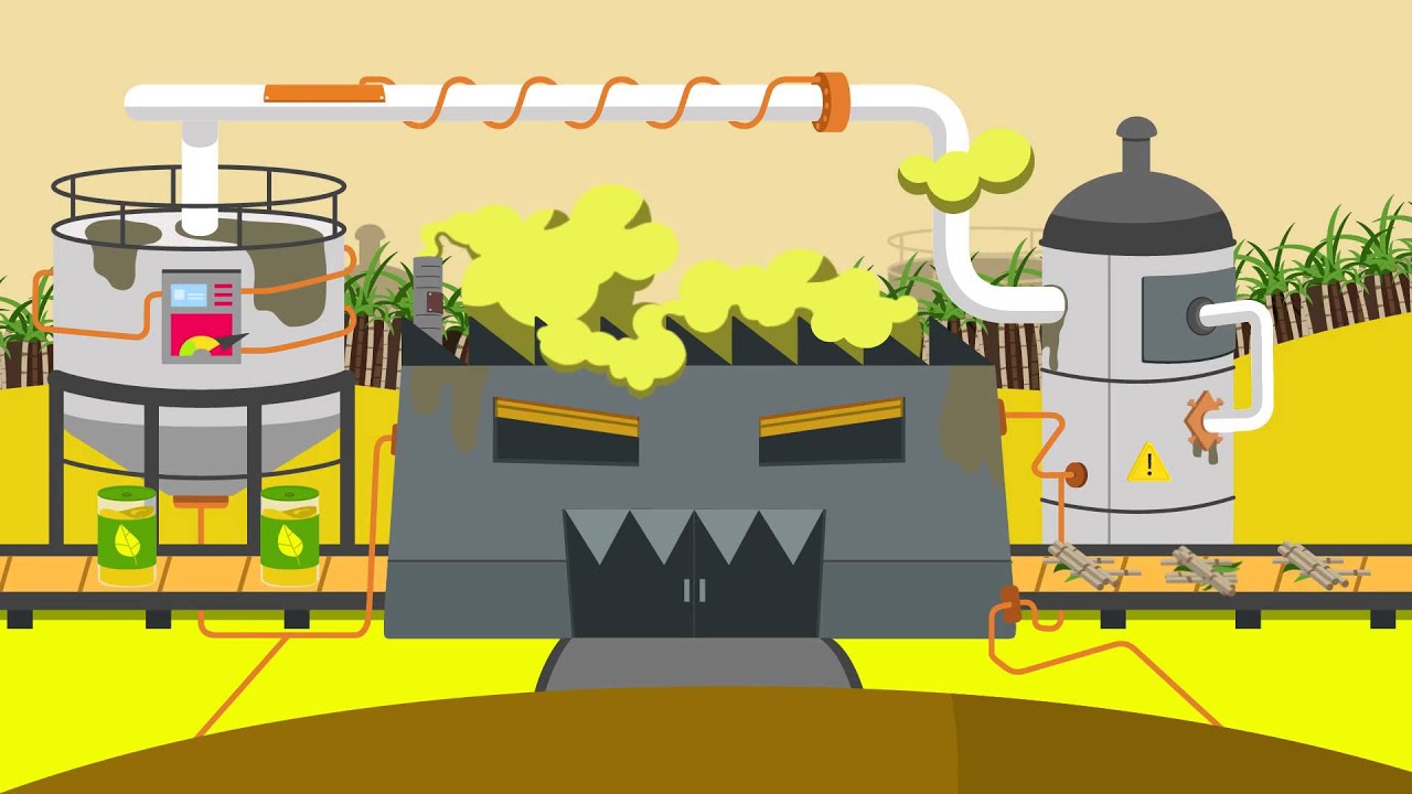 Biocombustíveis são mesmo verdes?