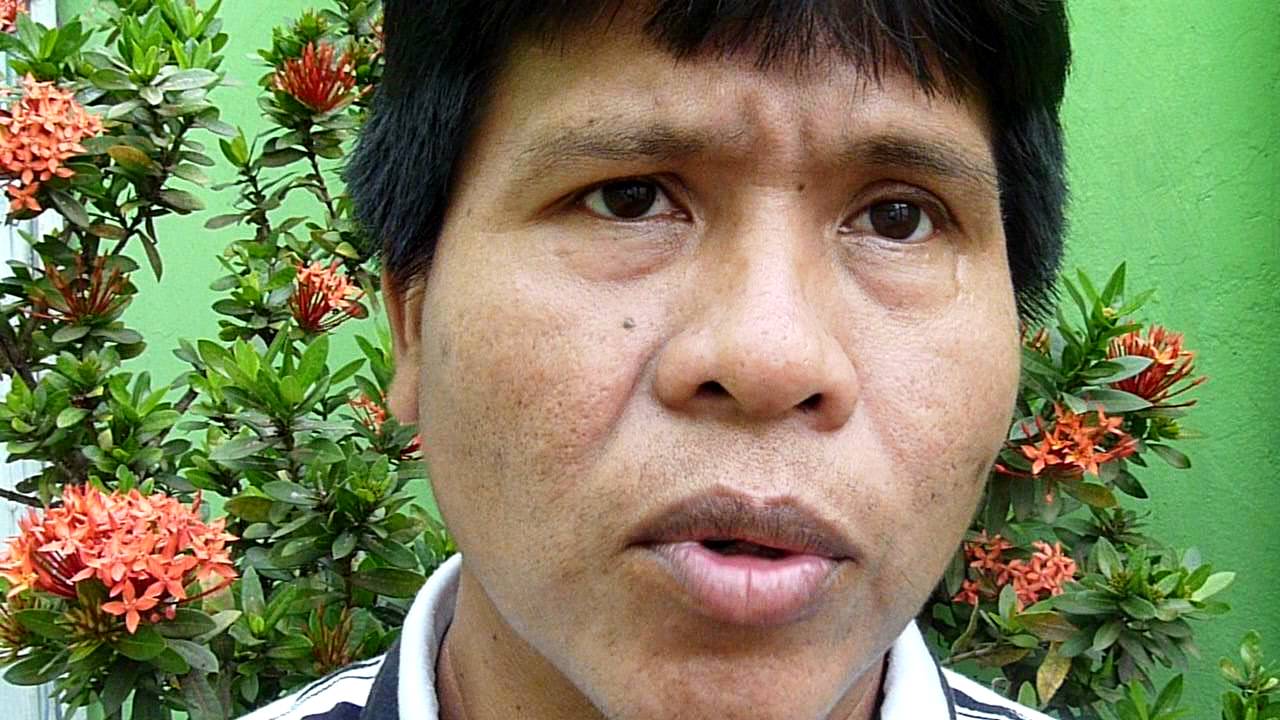 REDD e Povos Indígenas