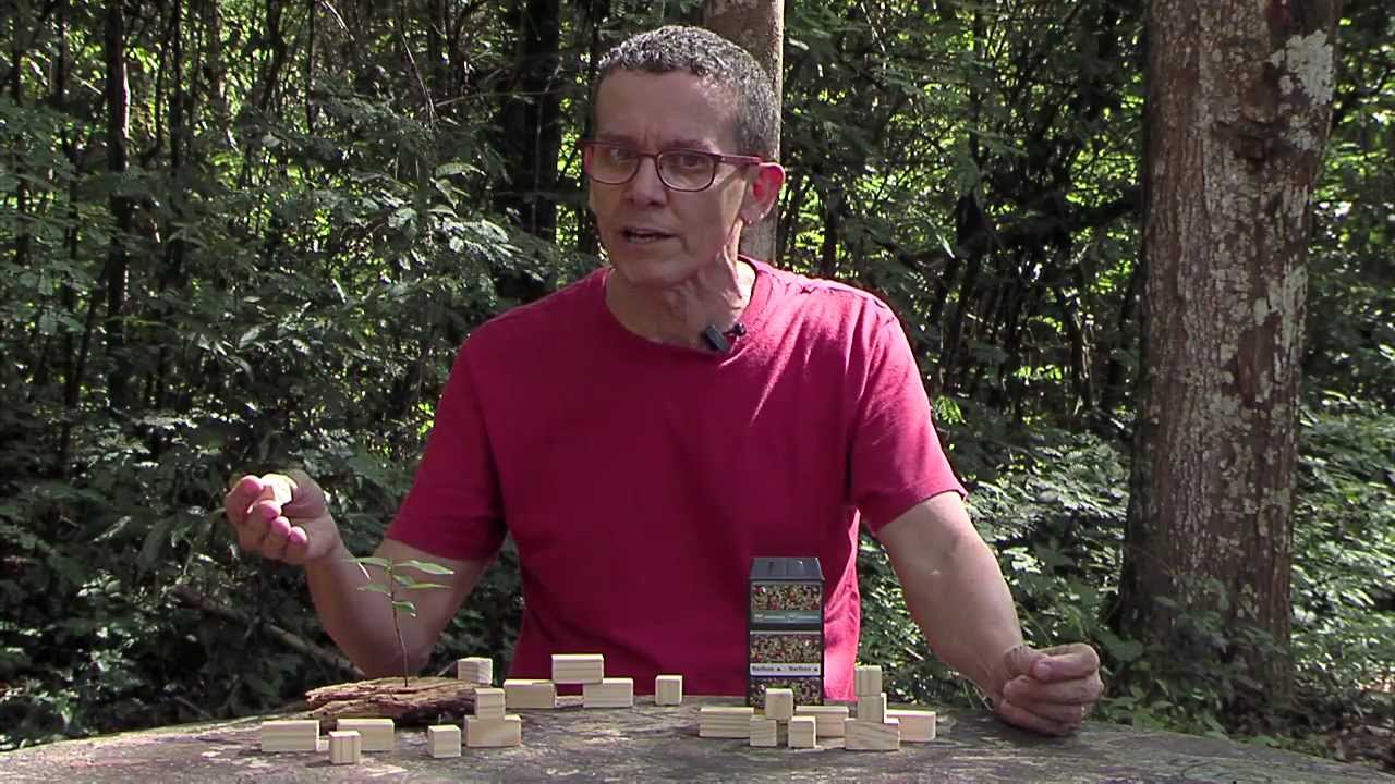 REDD e PSA, o valor e o preço da natureza