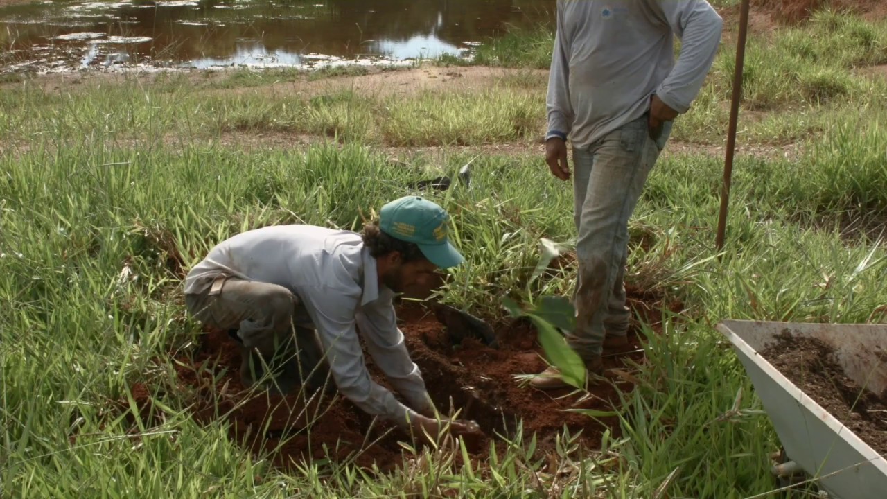 Semana da Água – 2017