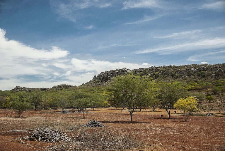 CARTA FINAL – “Mudanças climáticas – impactos e reações das populações da Bahia e Sergipe”