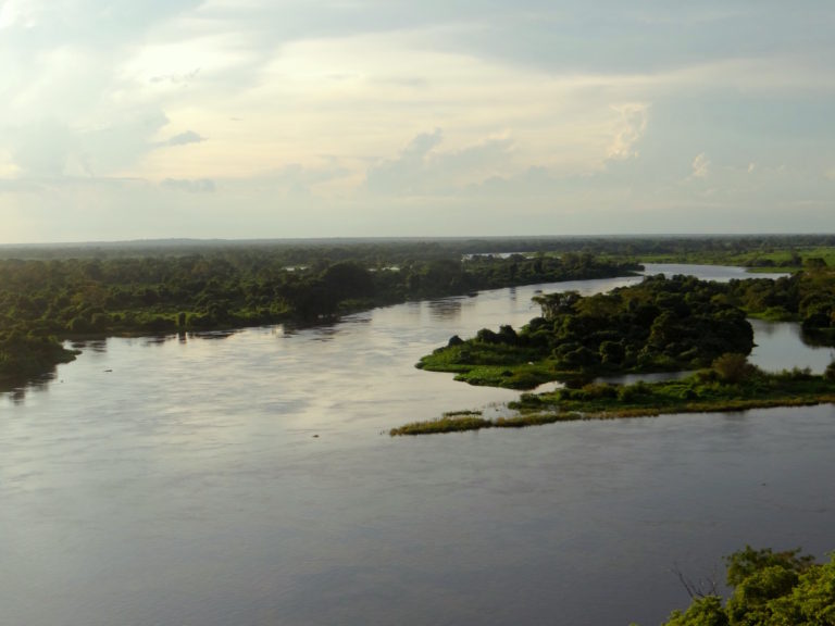 Ensaio Fotográfico do Pantanal