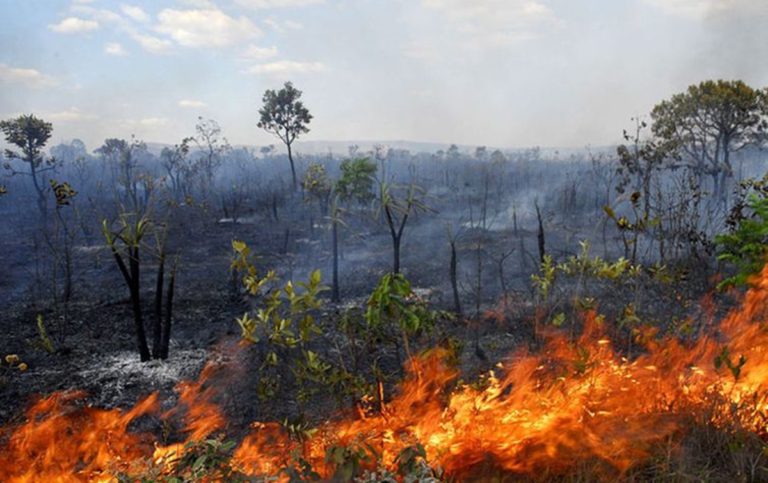 “A Amazônia já tem todas as condições de gerar uma massiva epidemia”